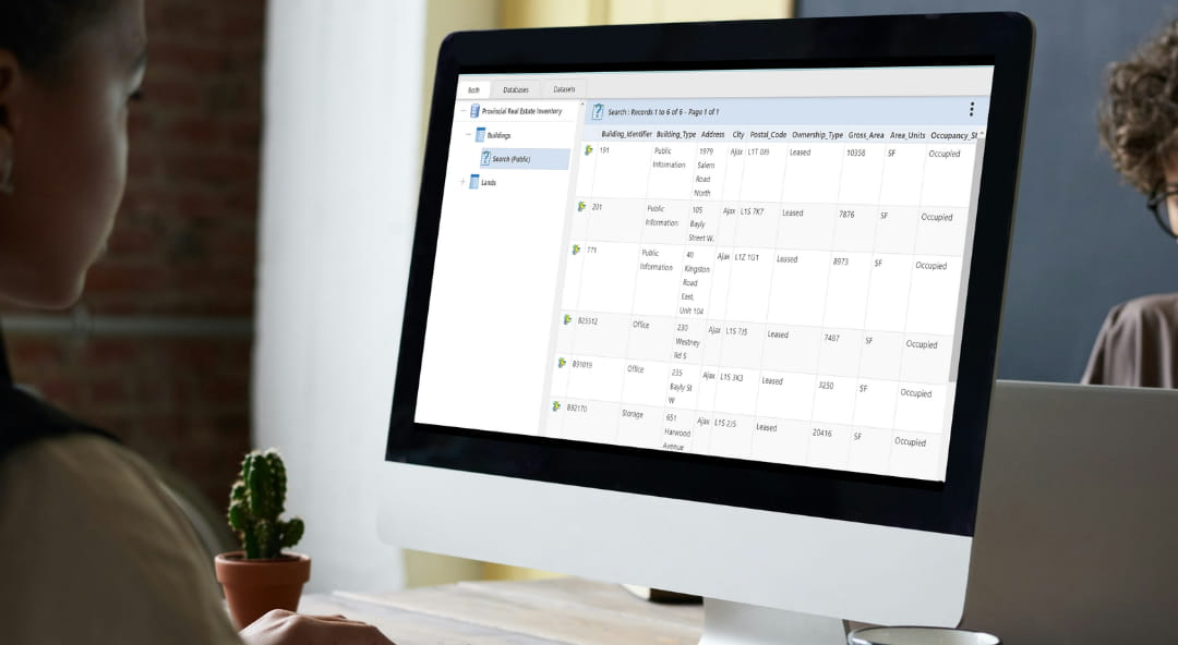 DataViewer interface