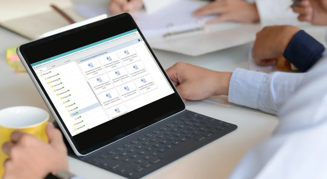 DocumentViewer interface